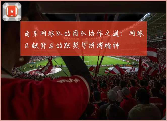 南京网球队的团队协作之道：网球巨献背后的默契与拼搏精神