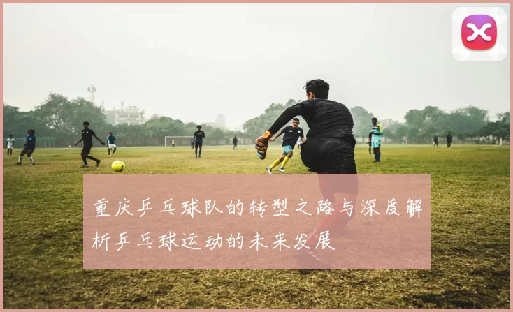 重庆乒乓球队的转型之路与深度解析乒乓球运动的未来发展