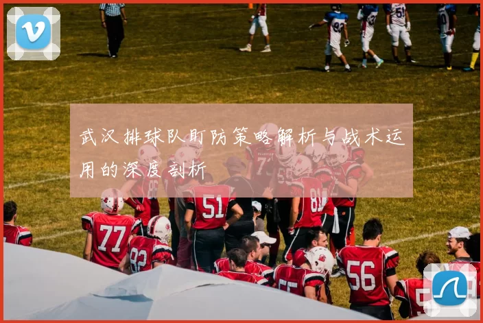 武汉排球队盯防策略解析与战术运用的深度剖析