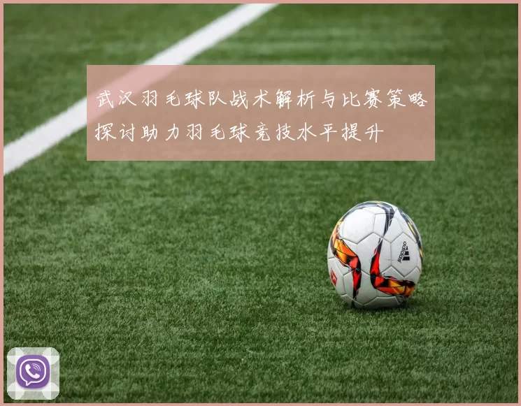 武汉羽毛球队战术解析与比赛策略探讨助力羽毛球竞技水平提升