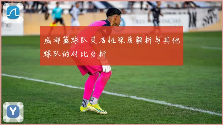 成都篮球队灵活性深度解析与其他球队的对比分析