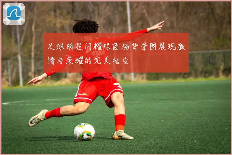 足球明星闪耀绿茵场背景图展现激情与荣耀的完美结合