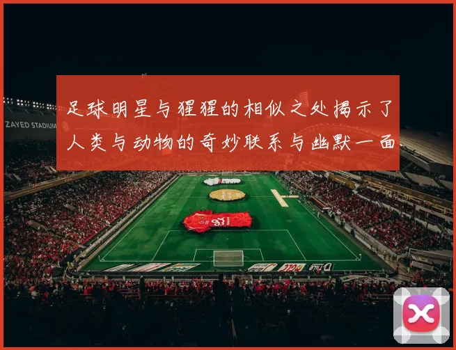 足球明星与猩猩的相似之处揭示了人类与动物的奇妙联系与幽默一面