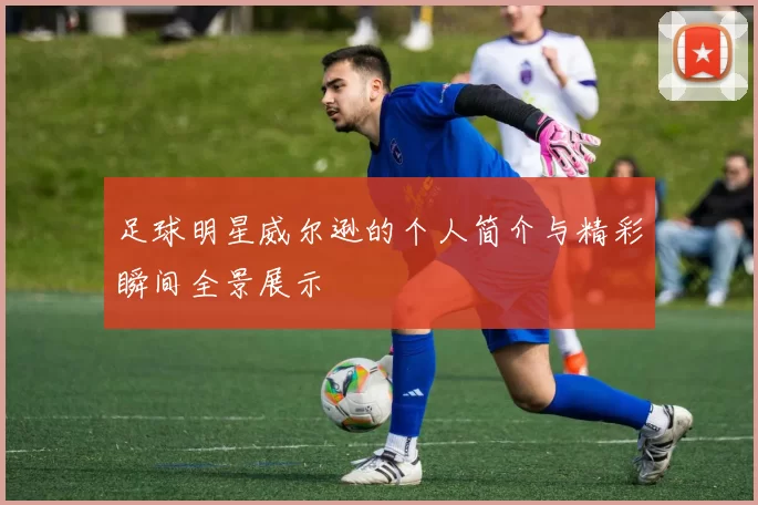 足球明星威尔逊的个人简介与精彩瞬间全景展示