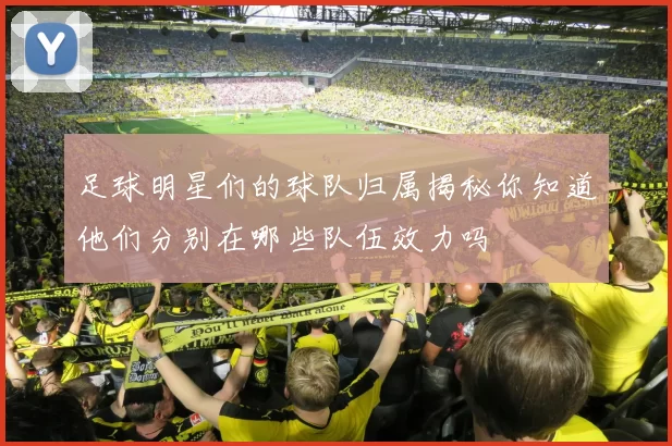 足球明星们的球队归属揭秘你知道他们分别在哪些队伍效力吗