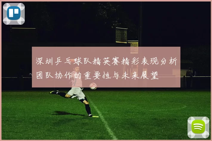 深圳乒乓球队精英赛精彩表现分析团队协作的重要性与未来展望