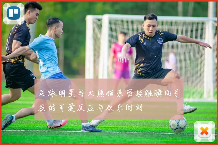 足球明星与大熊猫亲密接触瞬间引发的可爱反应与欢乐时刻