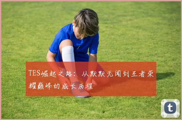 TES崛起之路：从默默无闻到王者荣耀巅峰的成长历程