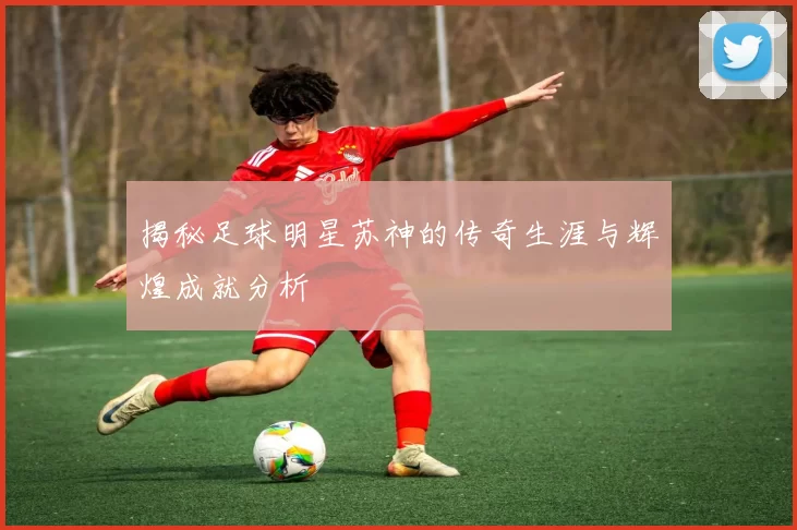 揭秘足球明星苏神的传奇生涯与辉煌成就分析