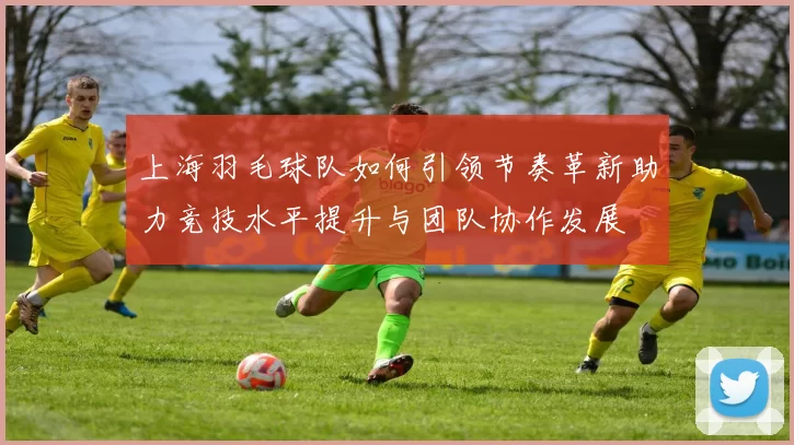 上海羽毛球队如何引领节奏革新助力竞技水平提升与团队协作发展