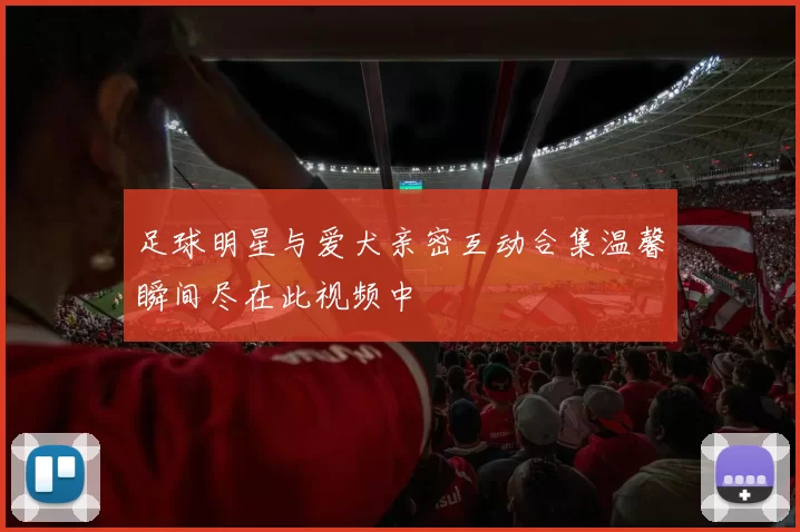 足球明星与爱犬亲密互动合集温馨瞬间尽在此视频中