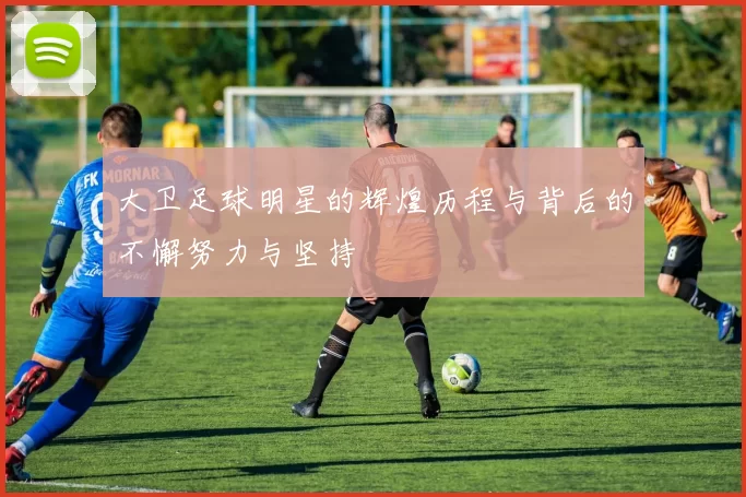 大卫足球明星的辉煌历程与背后的不懈努力与坚持