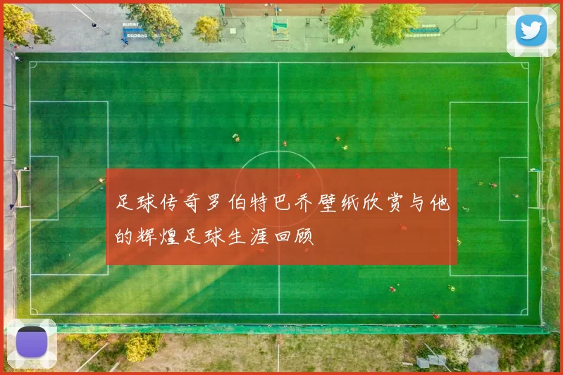足球传奇罗伯特巴乔壁纸欣赏与他的辉煌足球生涯回顾