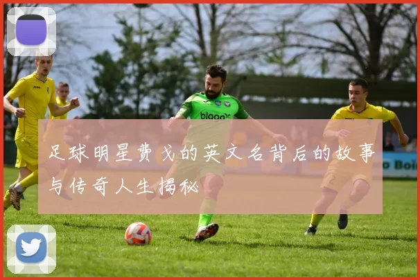 足球明星费戈的英文名背后的故事与传奇人生揭秘