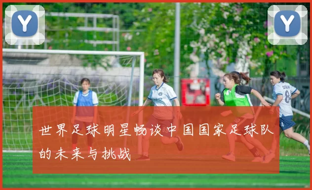 世界足球明星畅谈中国国家足球队的未来与挑战