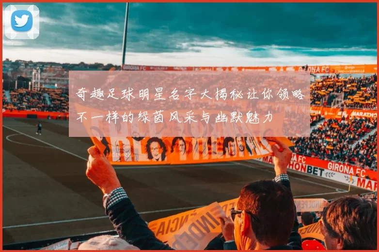 奇趣足球明星名字大揭秘让你领略不一样的绿茵风采与幽默魅力