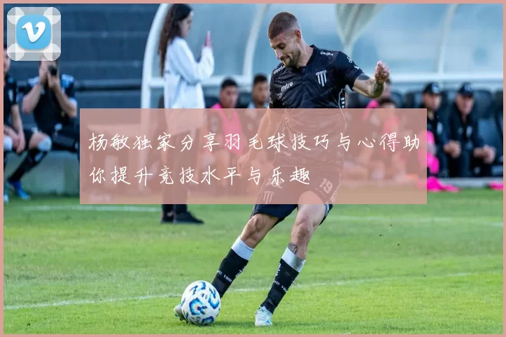 杨敏独家分享羽毛球技巧与心得助你提升竞技水平与乐趣