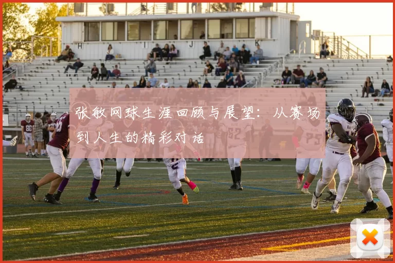 张敏网球生涯回顾与展望：从赛场到人生的精彩对话