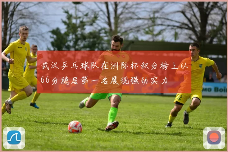 武汉乒乓球队在洲际杯积分榜上以66分稳居第一名展现强劲实力