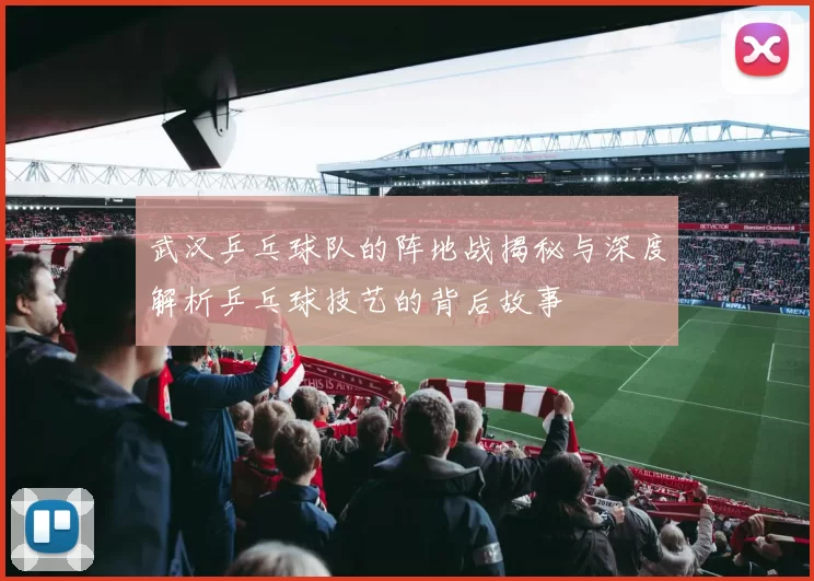 武汉乒乓球队的阵地战揭秘与深度解析乒乓球技艺的背后故事