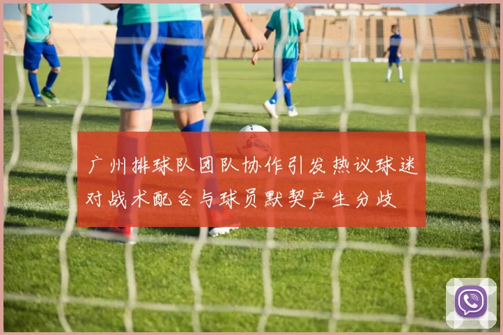 广州排球队团队协作引发热议球迷对战术配合与球员默契产生分歧